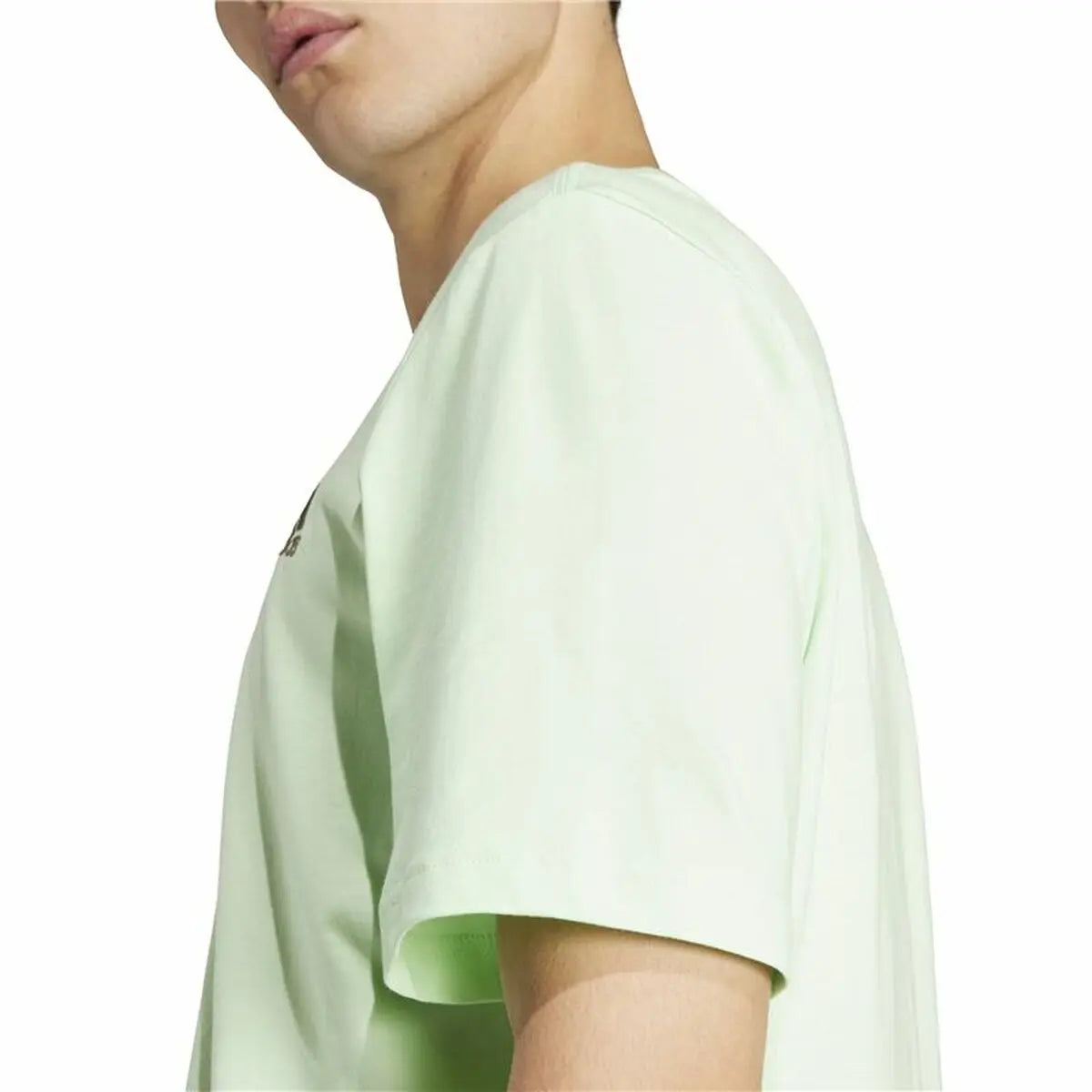 Men’s Short Sleeve T-Shirt Adidas adidas Sl Green Adidas